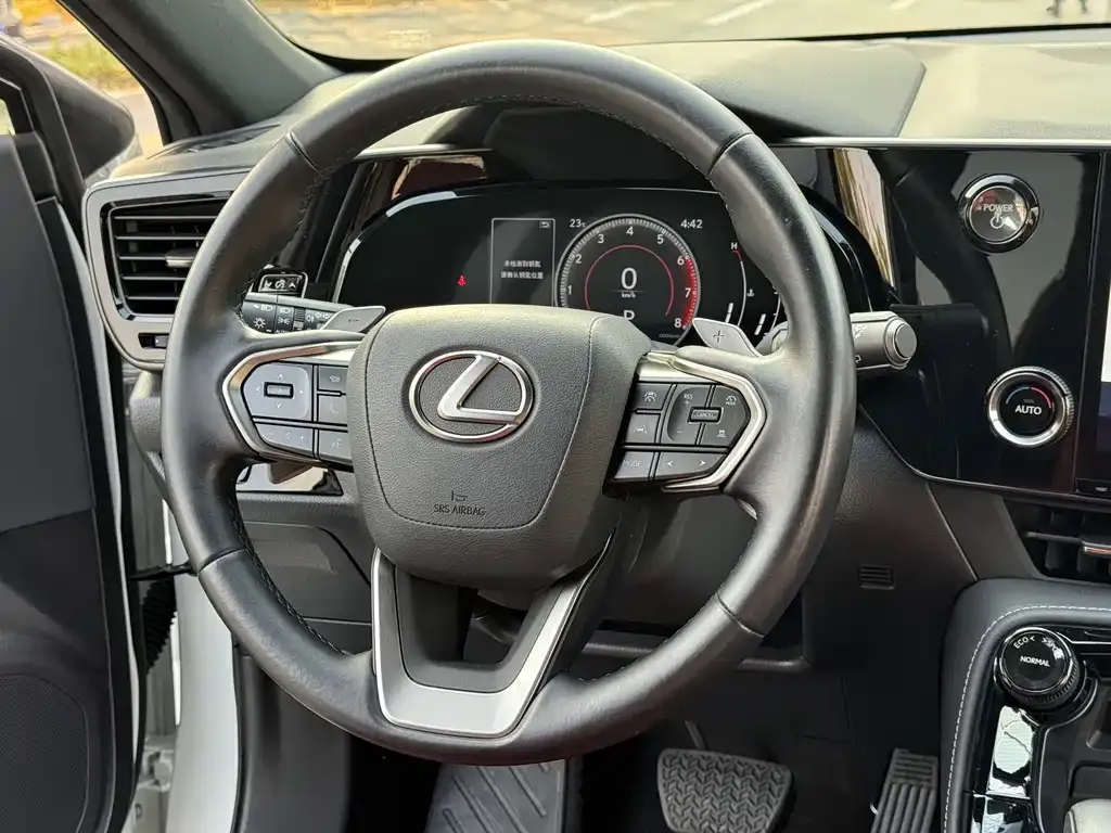 Lexus NX 2023 из CN, фото 8
