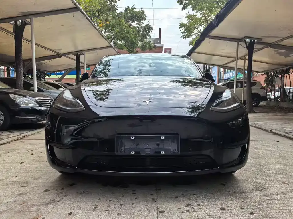 Tesla Model Y 2023 из CN, фото 4