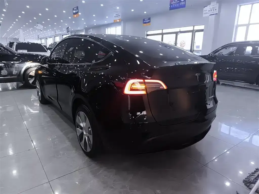 Tesla Model Y 2024 из CN, фото 2