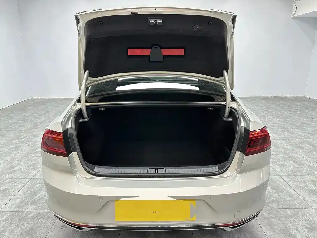 Volkswagen Magotan 2021 из CN, фото 3