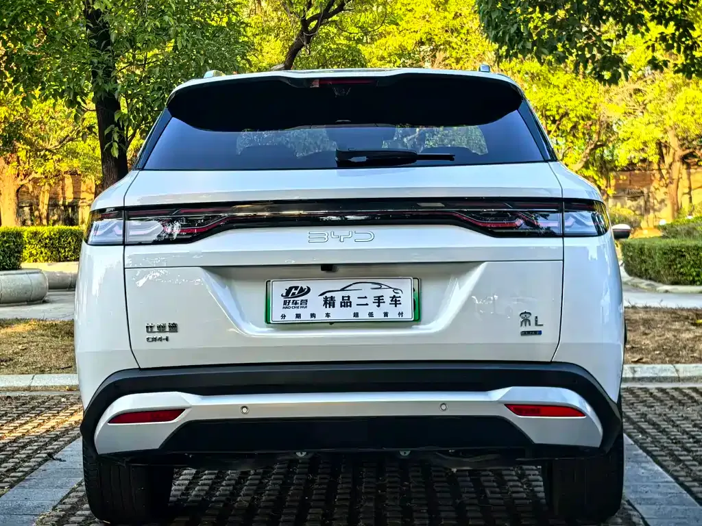 BYD L DM-i — фото 10