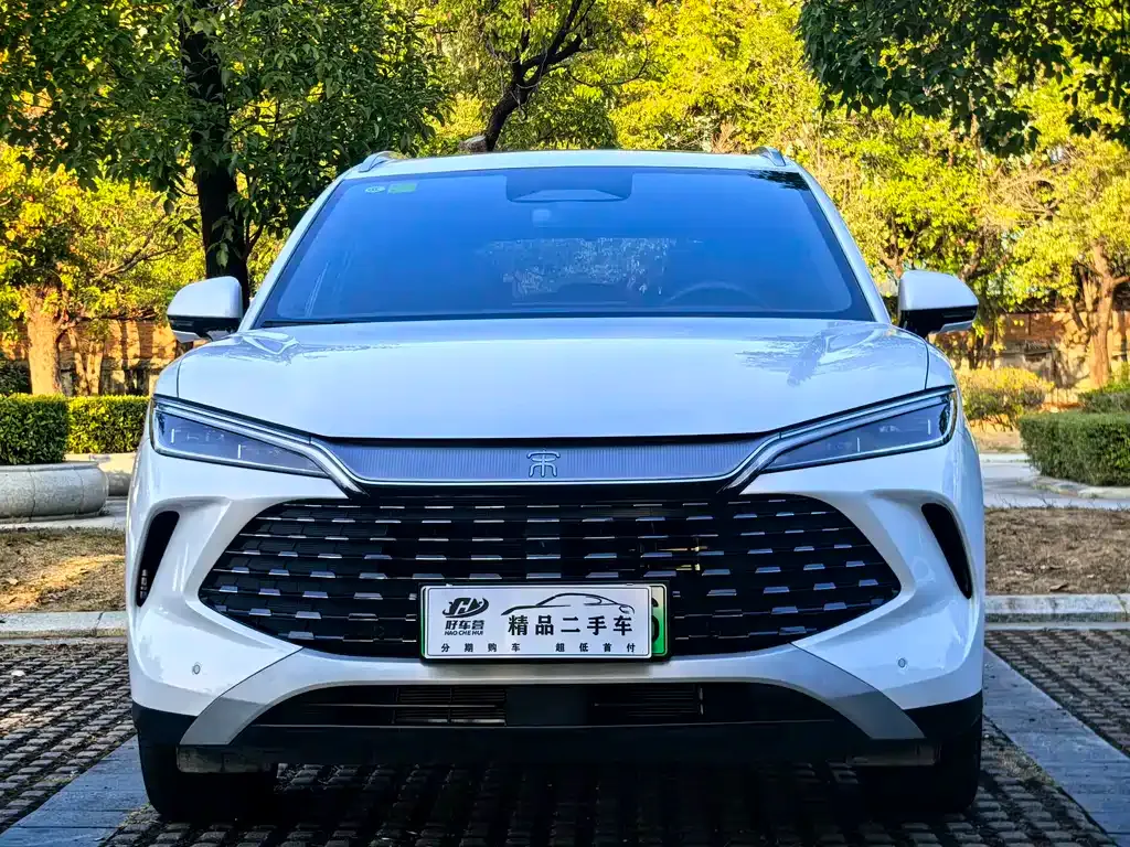 BYD L DM-i — фото 4