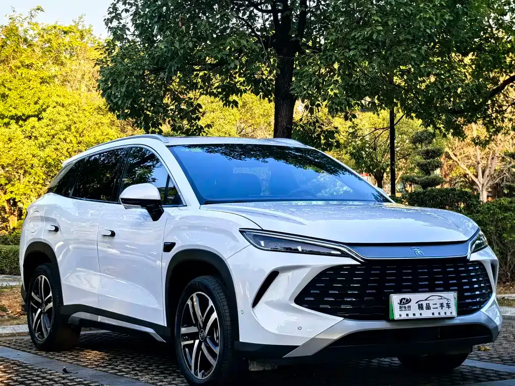 BYD L DM-i — фото 5