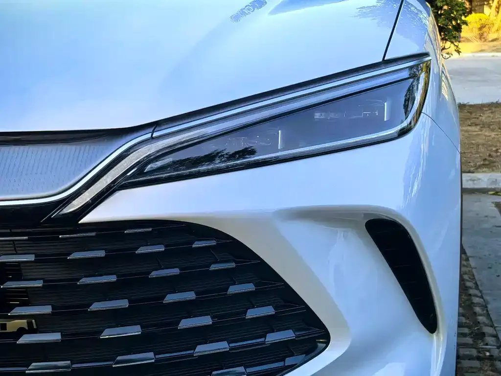 BYD L DM-i — фото 3