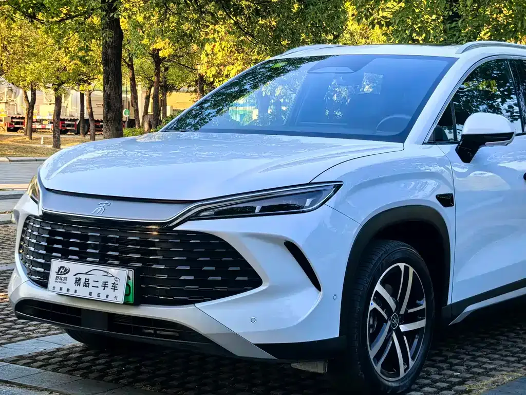 BYD L DM-i — фото 6