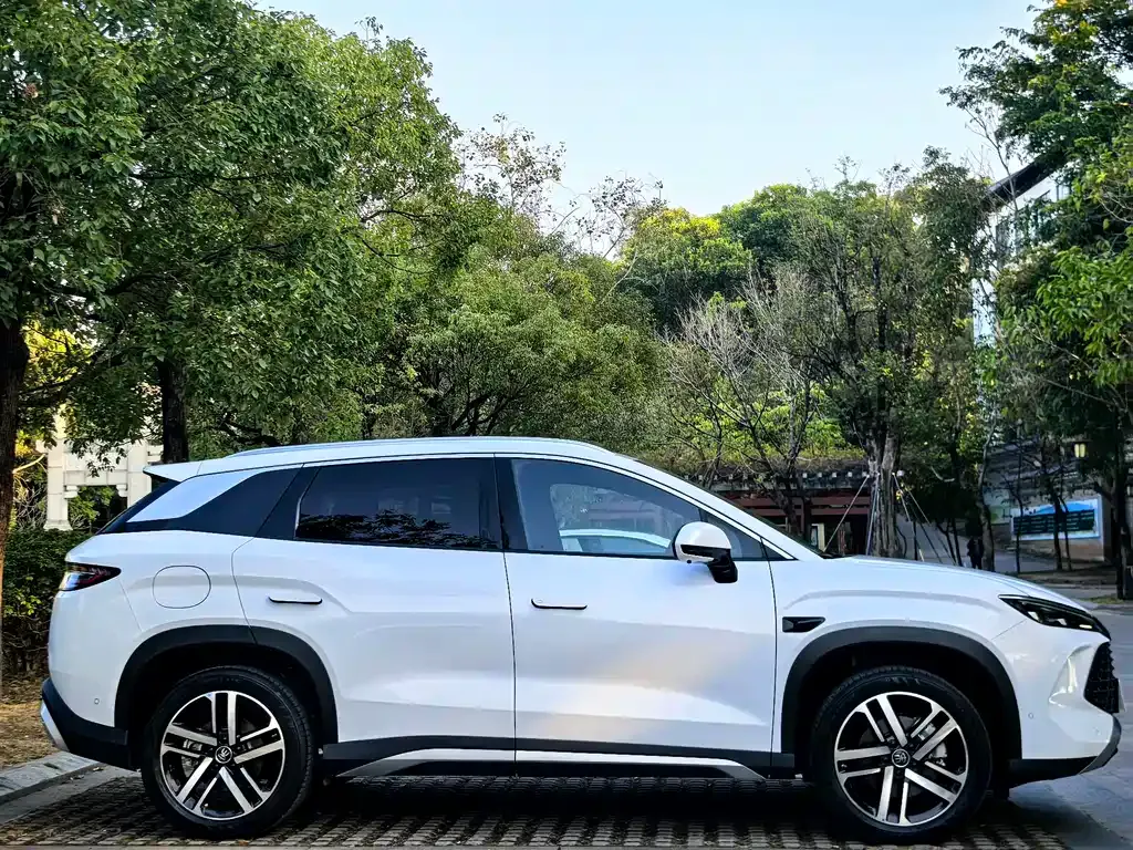 BYD L DM-i — фото 9