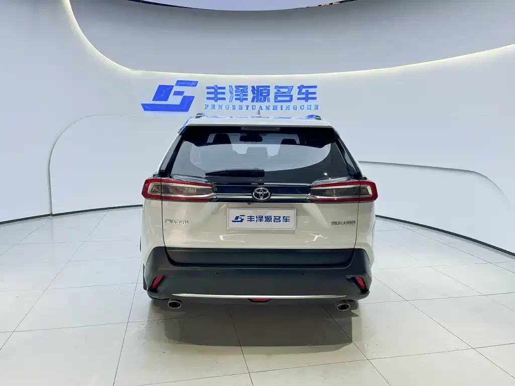 Toyota Wildlander 2023 из CN, фото 10
