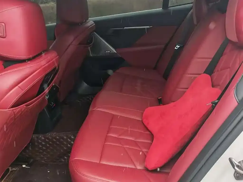 BMW 5 Series 2024 из CN, фото 4