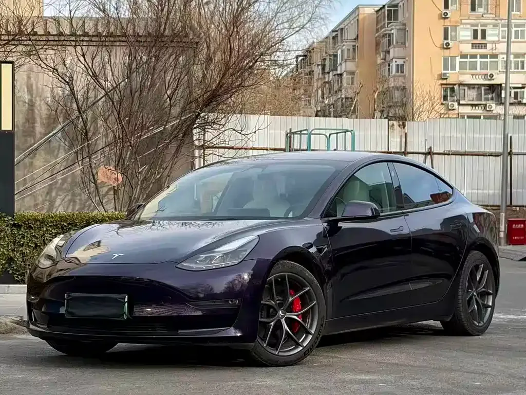 Tesla Model 3 2022 из CN, фото 1