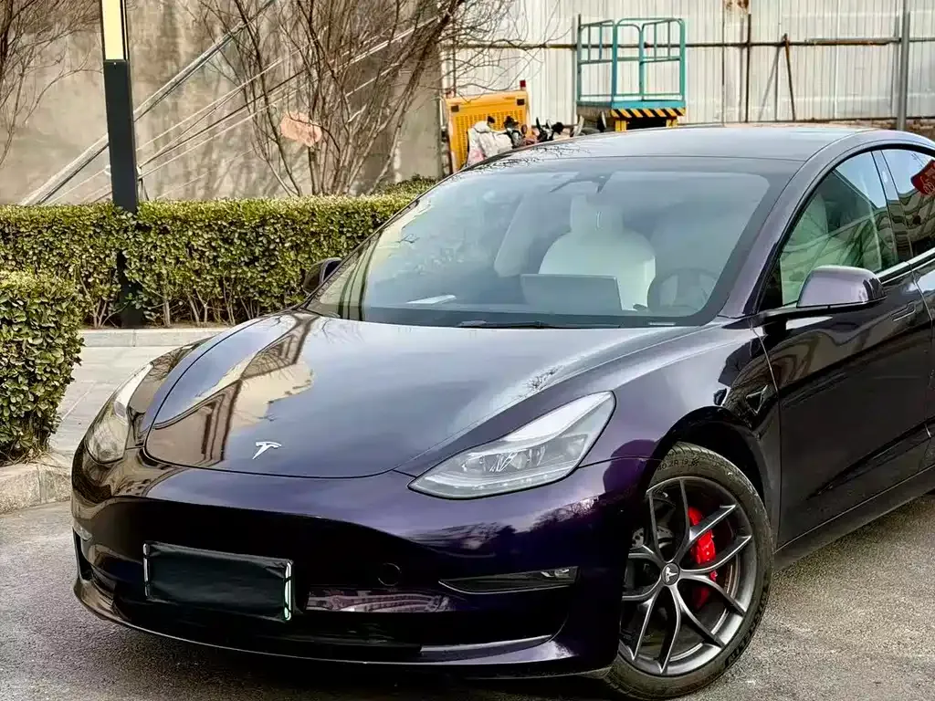 Tesla Model 3 2022 из CN, фото 4