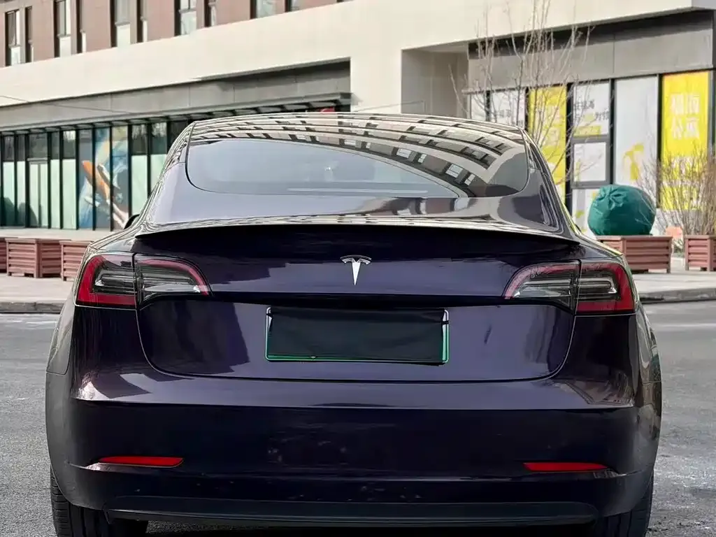 Tesla Model 3 2022 из CN, фото 5