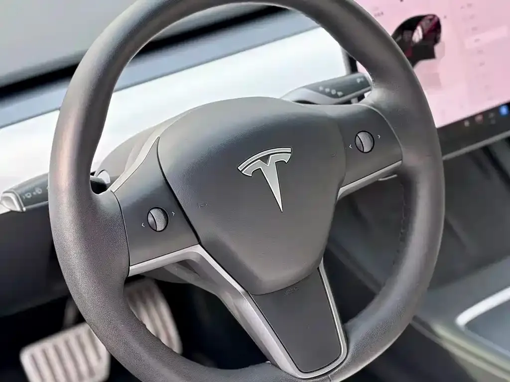Tesla Model 3 2022 из CN, фото 8