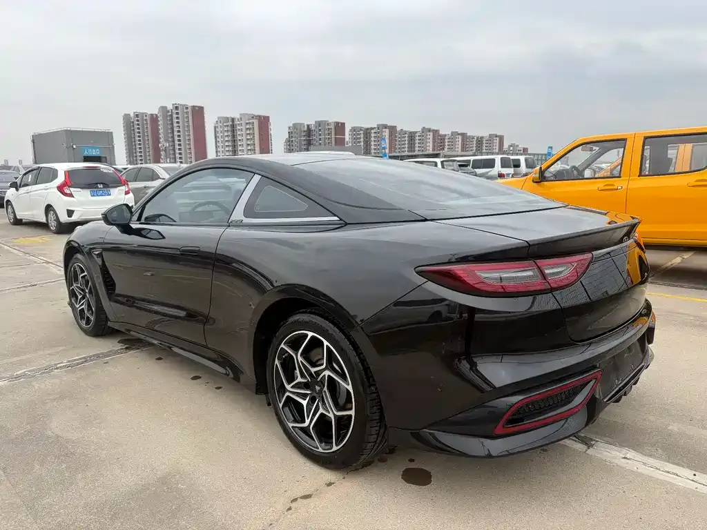 Neta GT 2023 из CN, фото 5