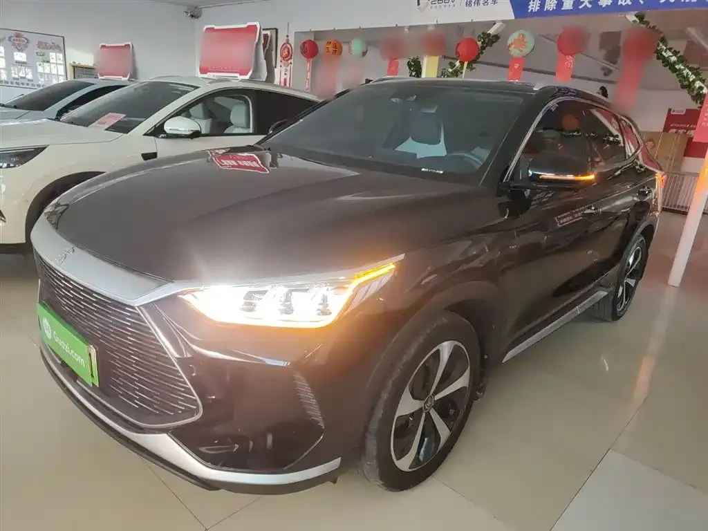 BYD PLUS New Energy 2022 из CN, фото 6