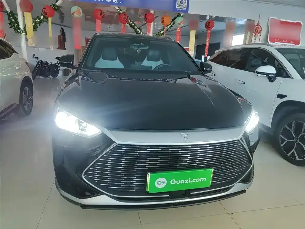 BYD PLUS New Energy 2022 из CN, фото 10