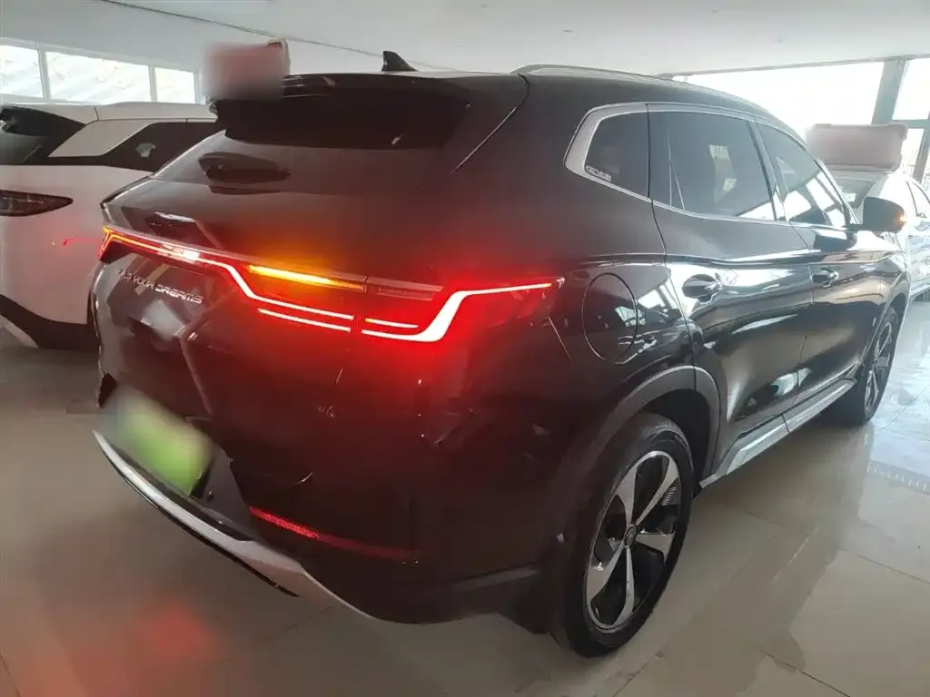 BYD PLUS New Energy 2022 из CN, фото 2