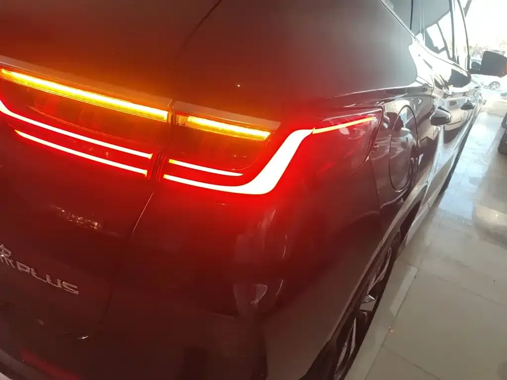 BYD PLUS New Energy 2022 из CN, фото 4