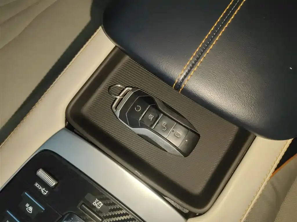 BYD PLUS New Energy 2022 из CN, фото 8