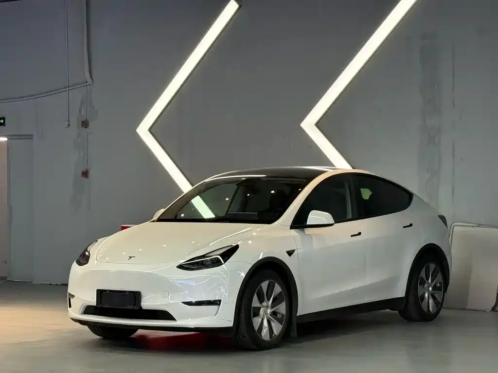 Tesla Model Y 2021 из CN, фото 1