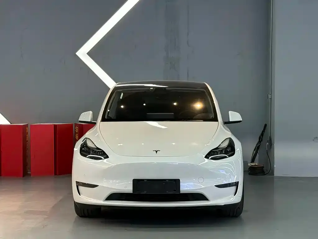 Tesla Model Y 2021 из CN, фото 2