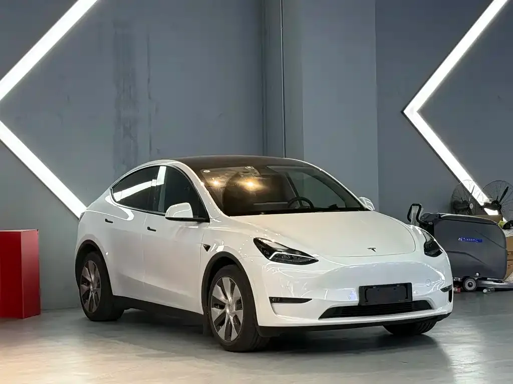 Tesla Model Y 2021 из CN, фото 6