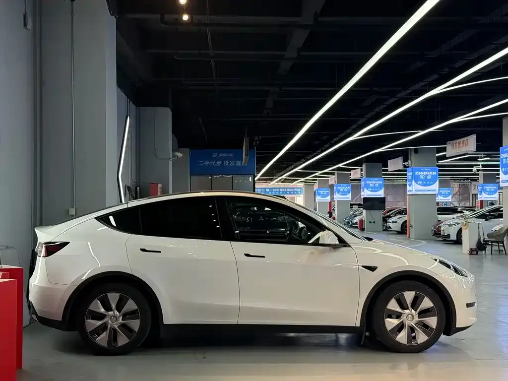 Tesla Model Y 2021 из CN, фото 4