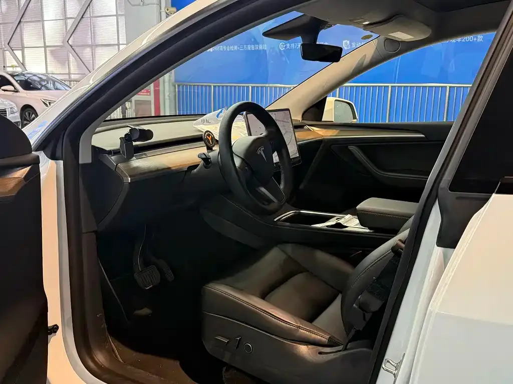 Tesla Model Y 2021 из CN, фото 10