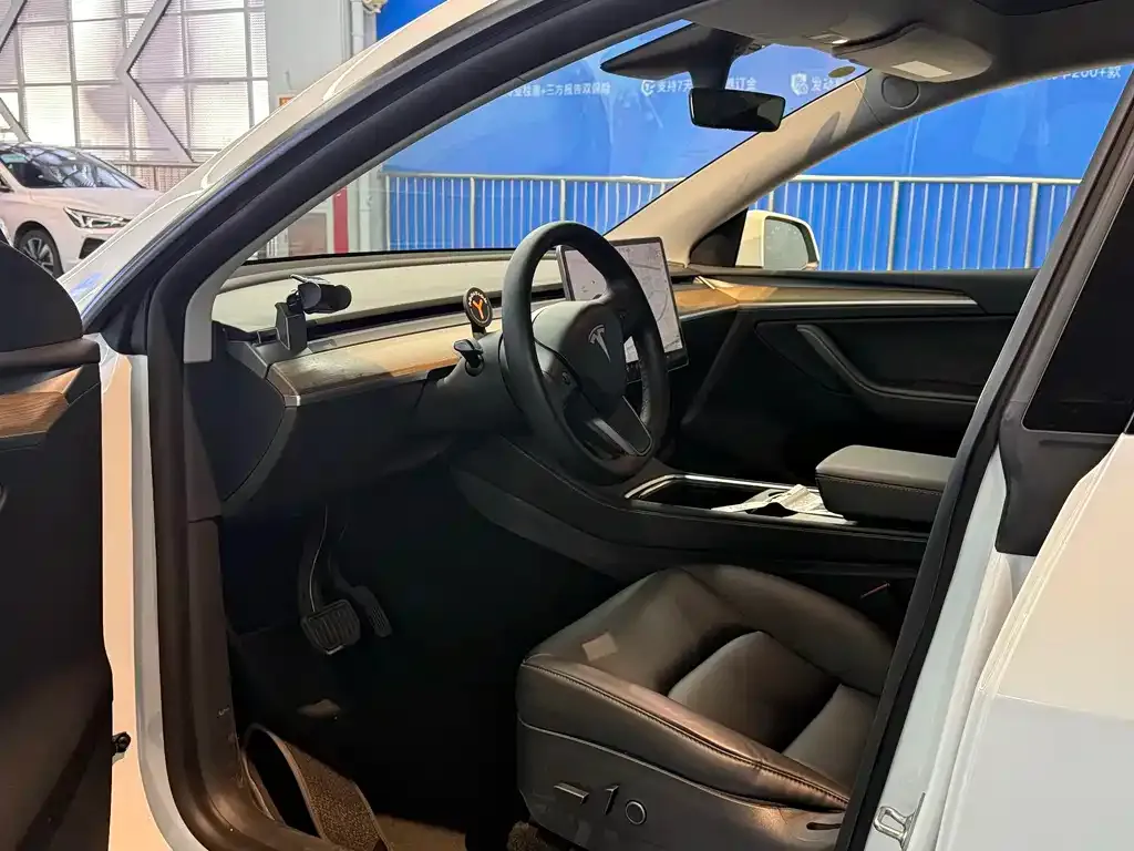 Tesla Model Y 2021 из CN, фото 8