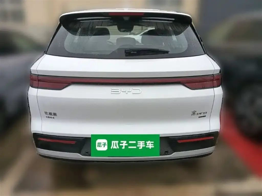 BYD Pro New Energy 2025 из CN, фото 5