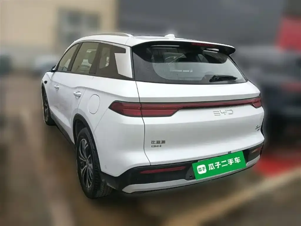 BYD Pro New Energy 2025 из CN, фото 3