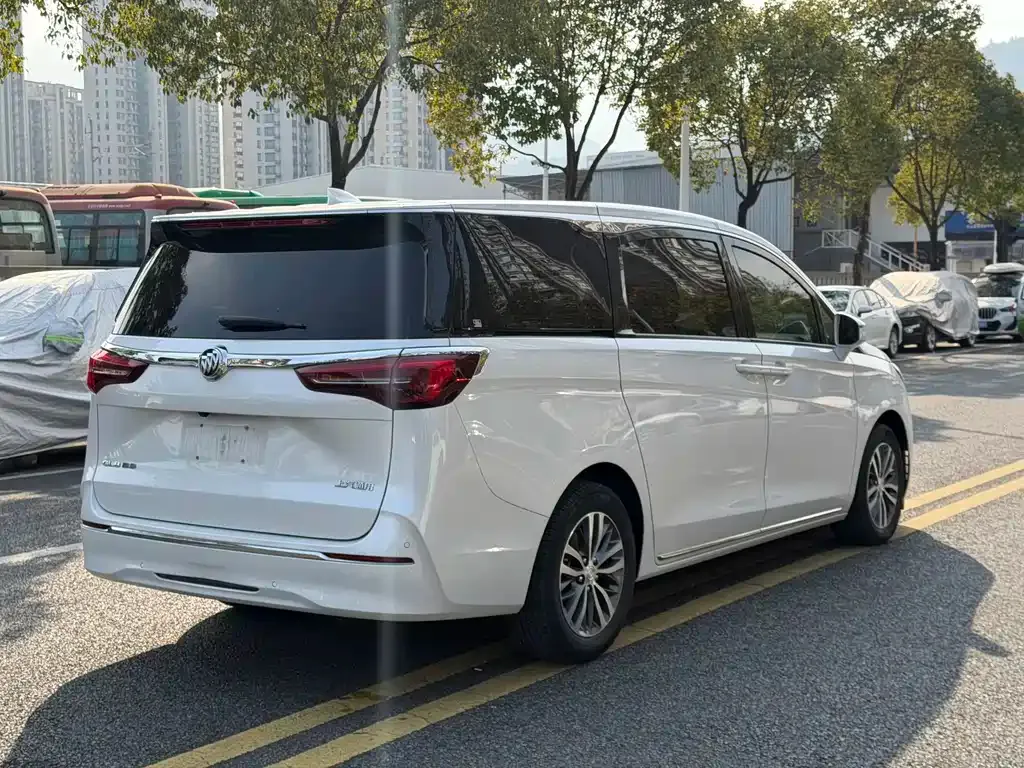 Buick GL8 2023 из CN, фото 4