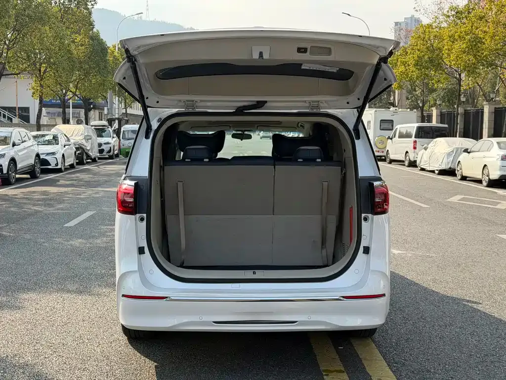 Buick GL8 2023 из CN, фото 10