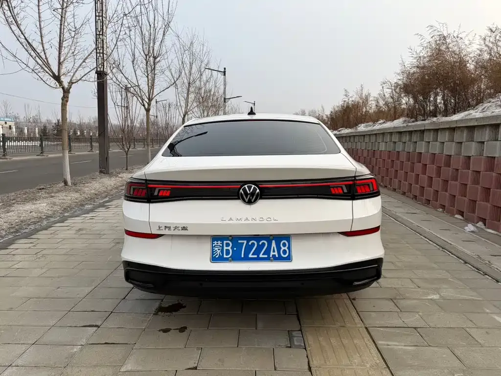 Volkswagen Lamando 2022 из CN, фото 3