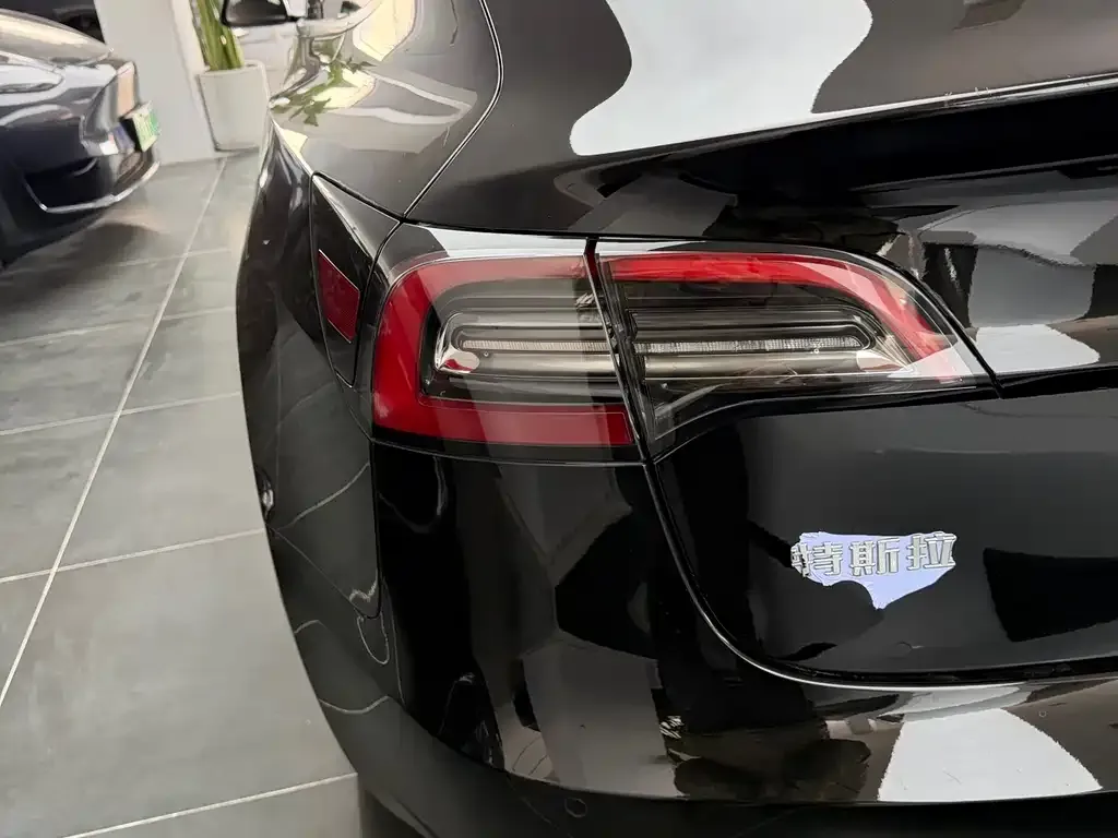 Tesla Model 3 2023 из CN, фото 2