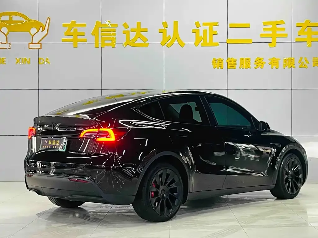 Tesla Model Y 2023 из CN, фото 9
