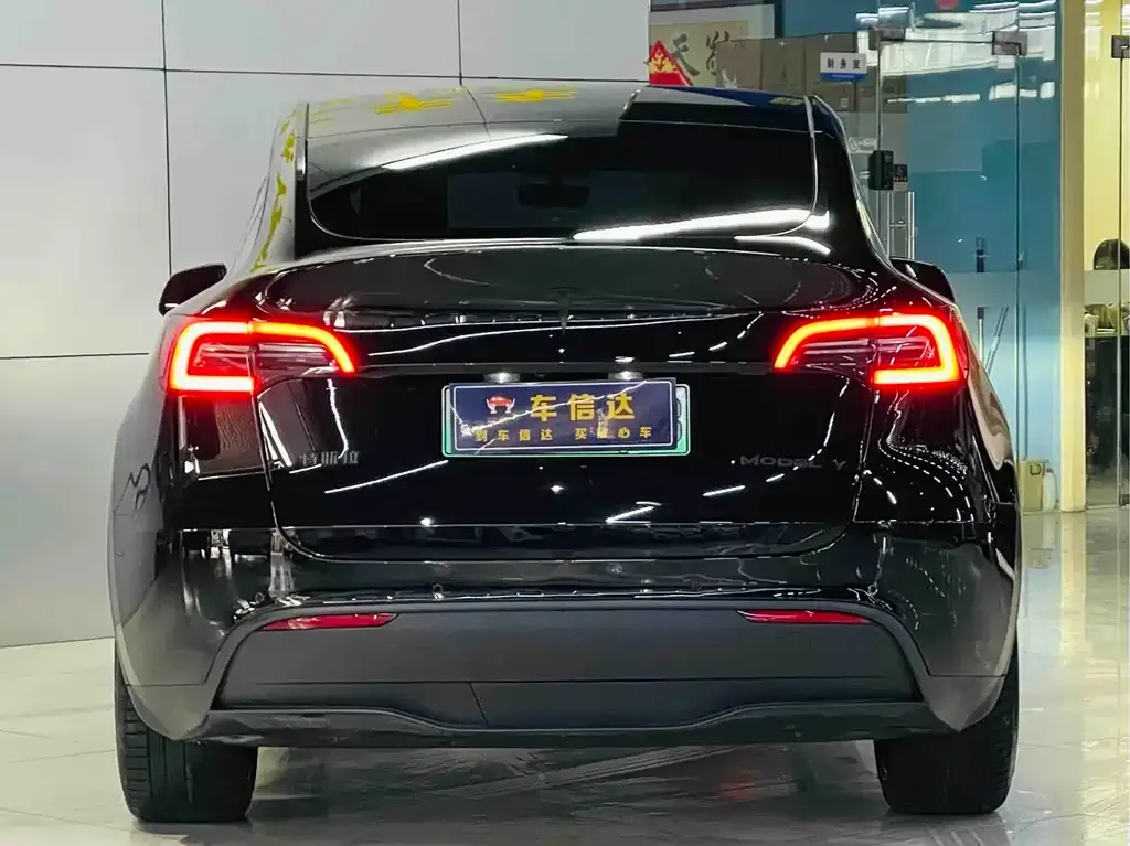Tesla Model Y 2023 из CN, фото 10