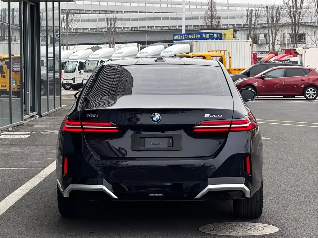 BMW 5 Series 2024 из CN, фото 6