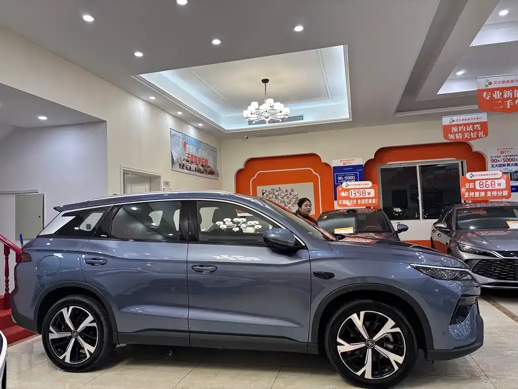BYD Pro New Energy — фото 2