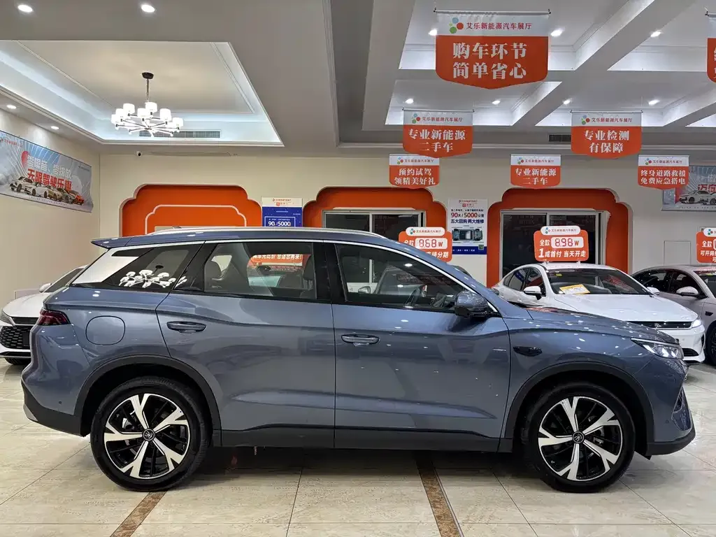 BYD Pro New Energy — фото 3