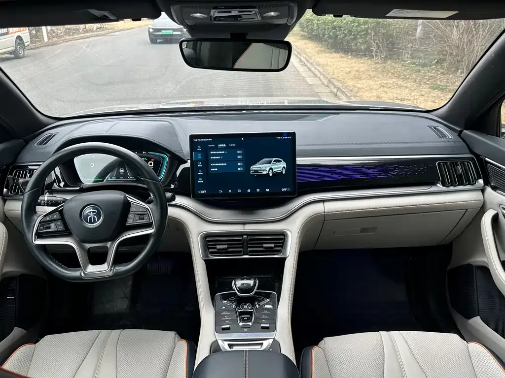 BYD PLUS New Energy 2022 из CN, фото 5