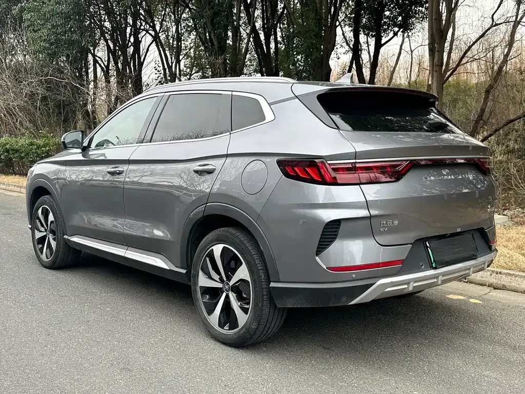 BYD PLUS New Energy 2022 из CN, фото 10