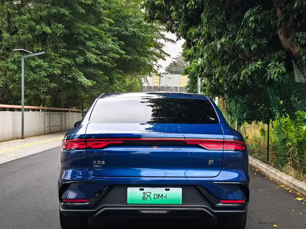 BYD Han 2022 из CN, фото 9