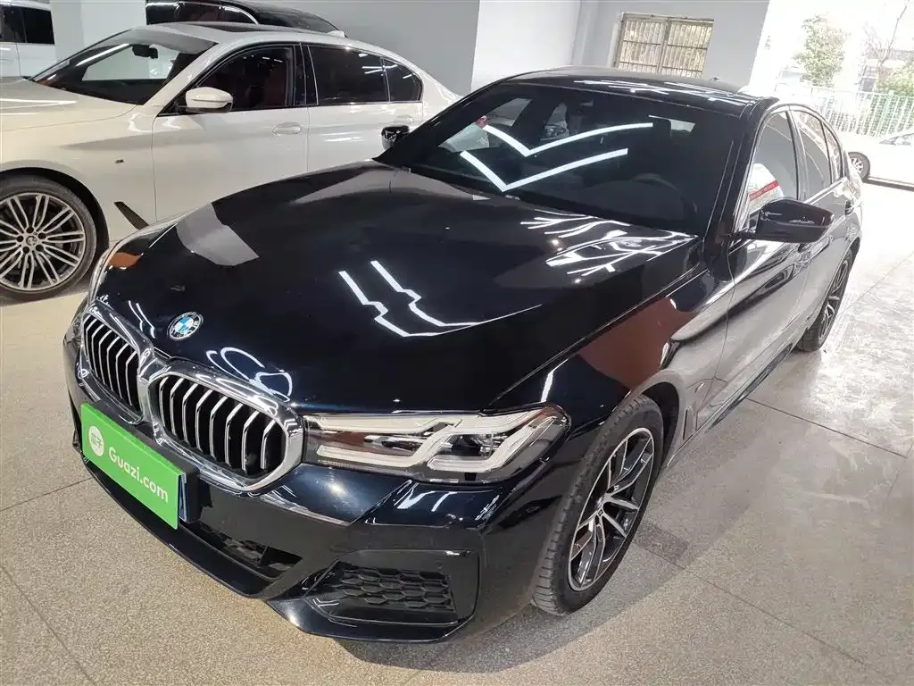 BMW 5 Series (Import) 2023 из CN, фото 1