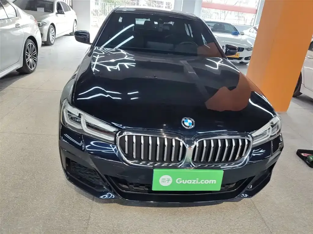 BMW 5 Series (Import) 2023 из CN, фото 8