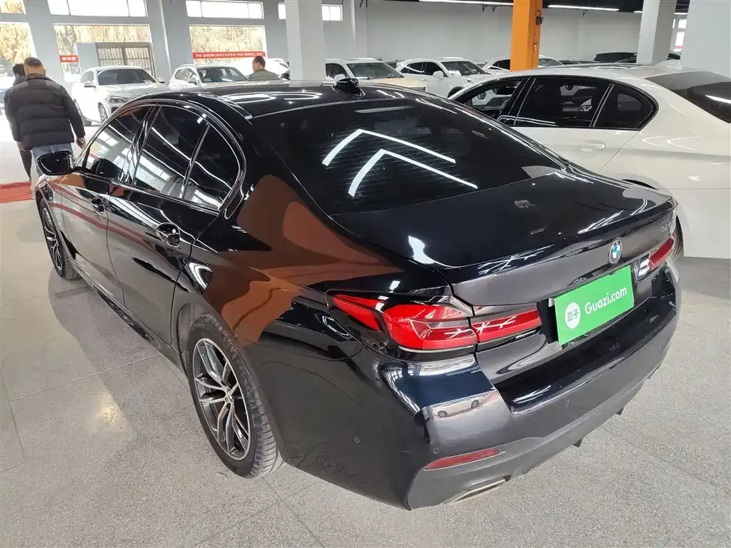 BMW 5 Series (Import) 2023 из CN, фото 7