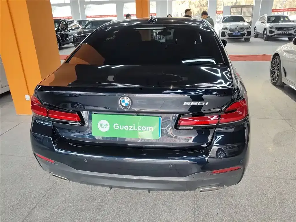 BMW 5 Series (Import) 2023 из CN, фото 9