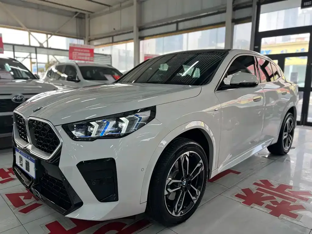BMW X2 (Import) — фото 1