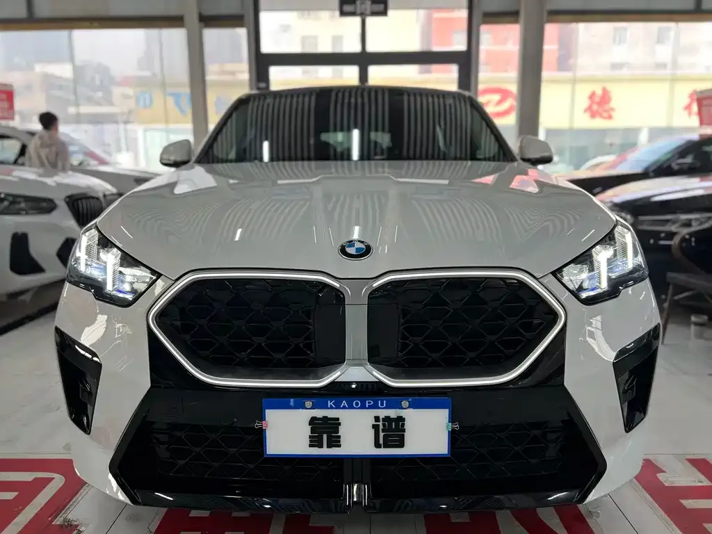 BMW X2 (Import) — фото 2