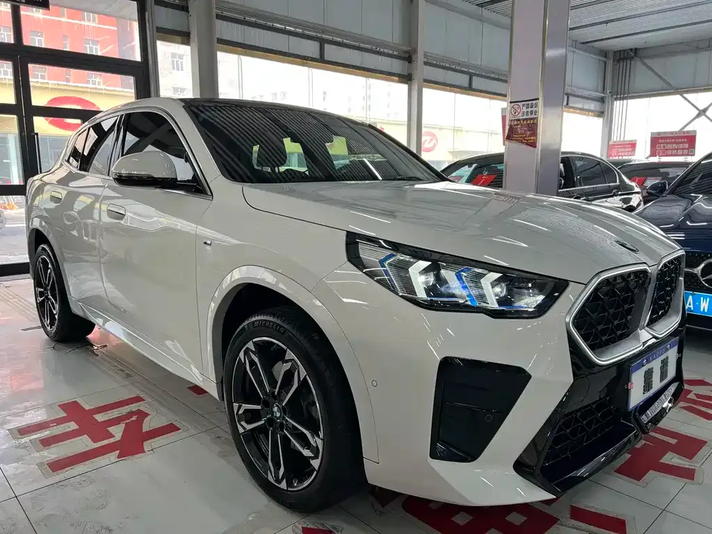 BMW X2 (Import) — фото 5