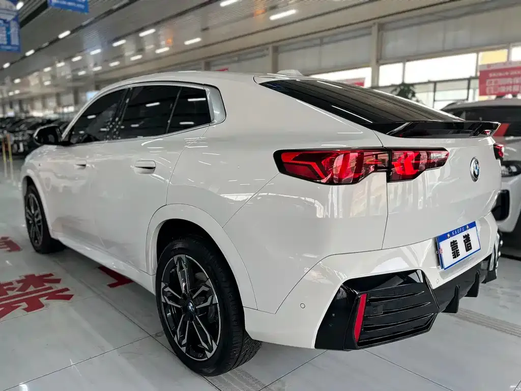 BMW X2 (Import) — фото 10
